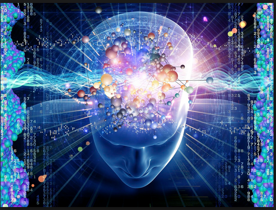 brain bio-radio neurons TV K-channel pbs39 biochemistry brain stem
