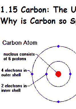 carbon atom 5
