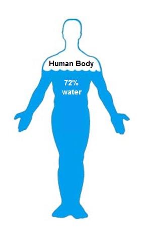 https://vincentstlouis.com/wp-content/uploads/2012/10/human-body-72-water.jpg