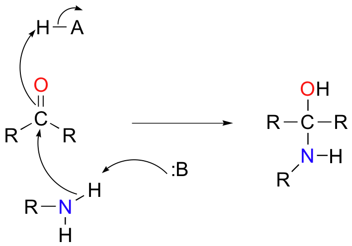 octane (1).png