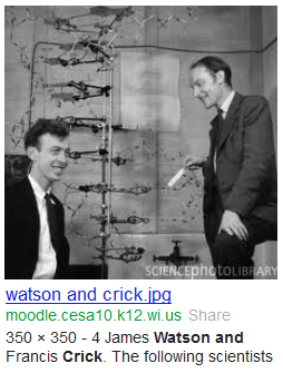watson crick  dna