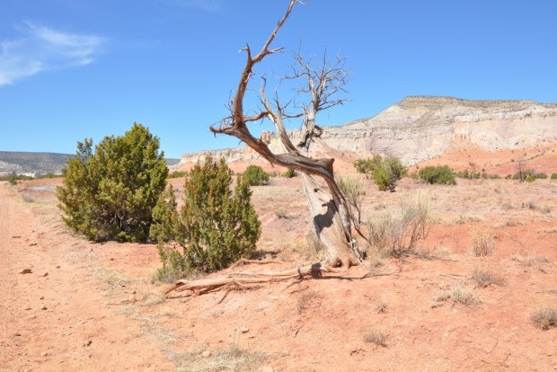 http://www.santafetravelers.com/wp-content/uploads/2011/10/Northern-New-Mexicos-high-desert-experiences-4-seasons.jpg