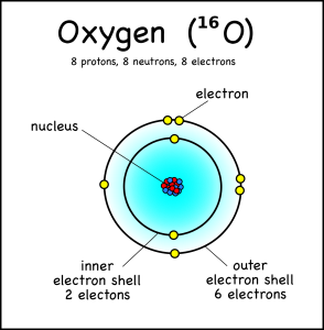 http://montessorimuddle.org/wp-content/uploads/2012/02/Oxygen-shells-294x300.png